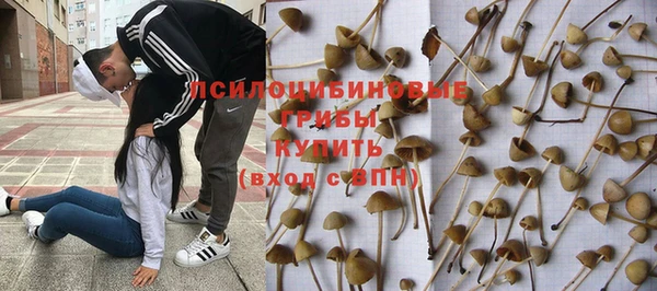 jwh Михайлов