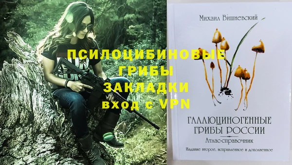 амф Михайловка