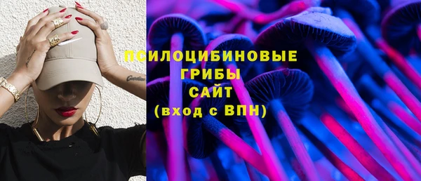 mix Богородицк