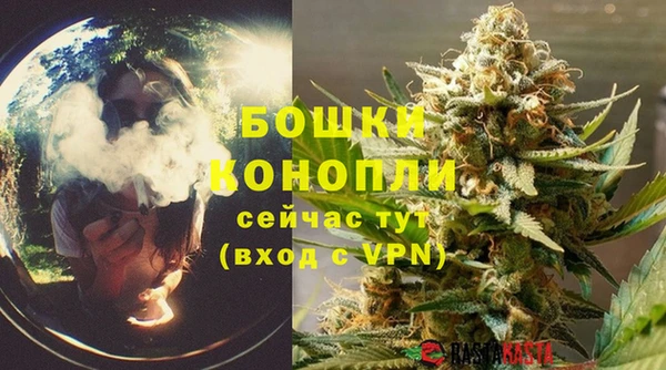 mix Богородицк