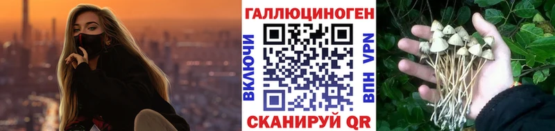 Галлюциногенные грибы Magic Shrooms  МЕГА ССЫЛКА  Коломна 