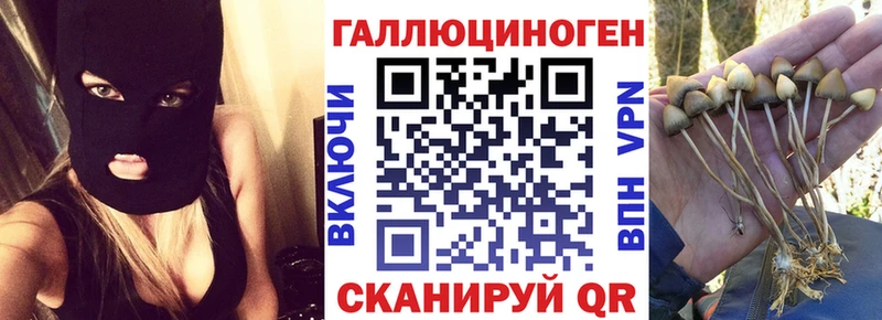 Галлюциногенные грибы мухоморы Коломна