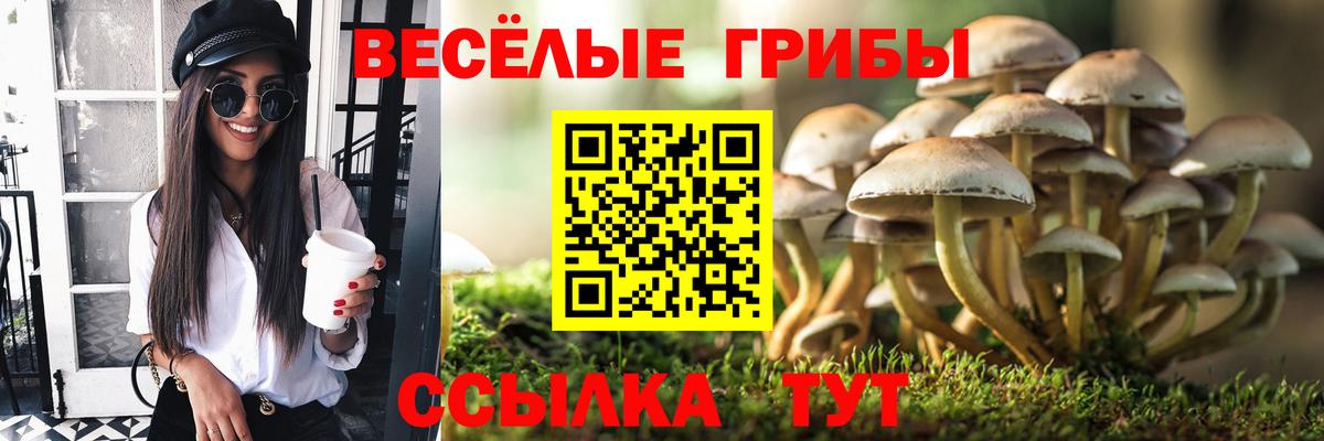 Псилоцибиновые грибы ЛСД Коломна